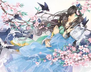 51免费版在线看免费网站